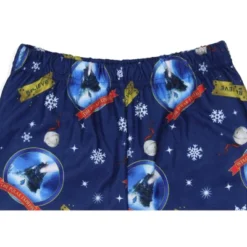 Polar Express Boys' Christmas Movie Believe Train Pajama Sleep Pants Blue -Intimo GUEST 4c3be28e c756 483f a443 3fe6eea037f7